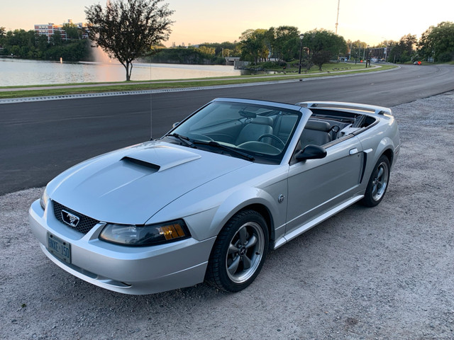2004 Mustang GT Convertible in Cars & Trucks in Kenora - Image 4