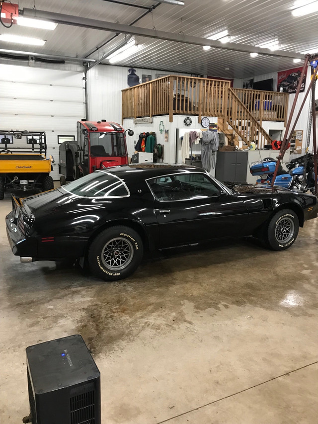 1978 Pontiac Trans Am Classic Cars Sault Ste. Marie Kijiji