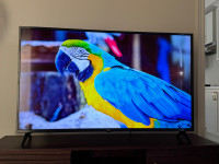 LG 55” Smart 4K TV