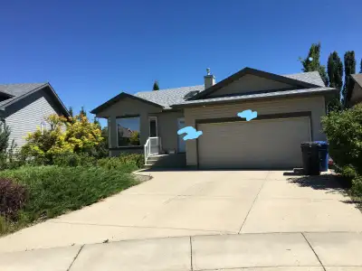Westside 4 Bedroom 2 Bathroom Bungalow for rent $2200