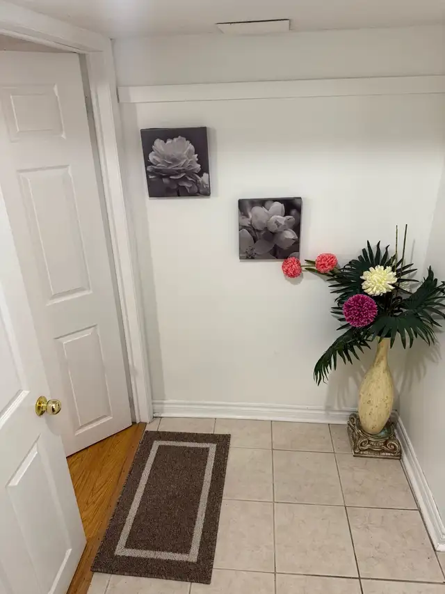 Need one girl in 2 bedroom basement