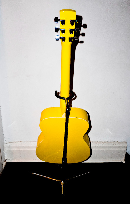 Regal Round Neck Resonator Acoustic Guitar in Guitars in City of Toronto - Image 3