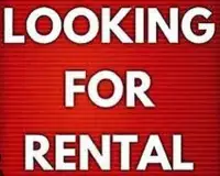 LOOKING FOR A PET FRIENDLY, MONTH-TO-MONTH RENTAL