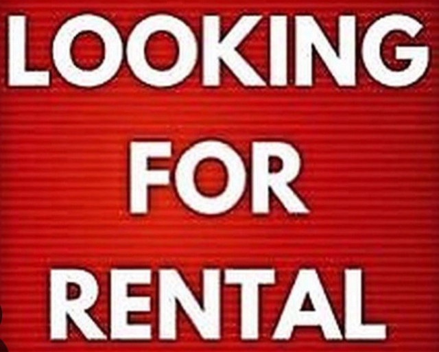 LOOKING FOR A PET FRIENDLY, MONTH-TO-MONTH RENTAL in Short Term Rentals in Corner Brook