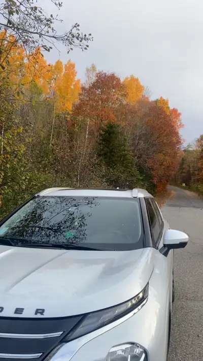 Earn $250–$350+ per day | $3.50 Per Package | Fuel Paid for Every KM We’re looking for dependable Ow...