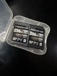ProGrade Digital SDXC UHS-II V90 300R Memory Card (256GB) x 2 