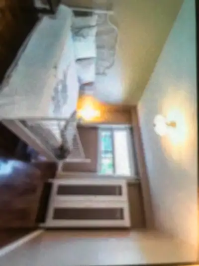 Beautiful one bedroom at victorial park and finch