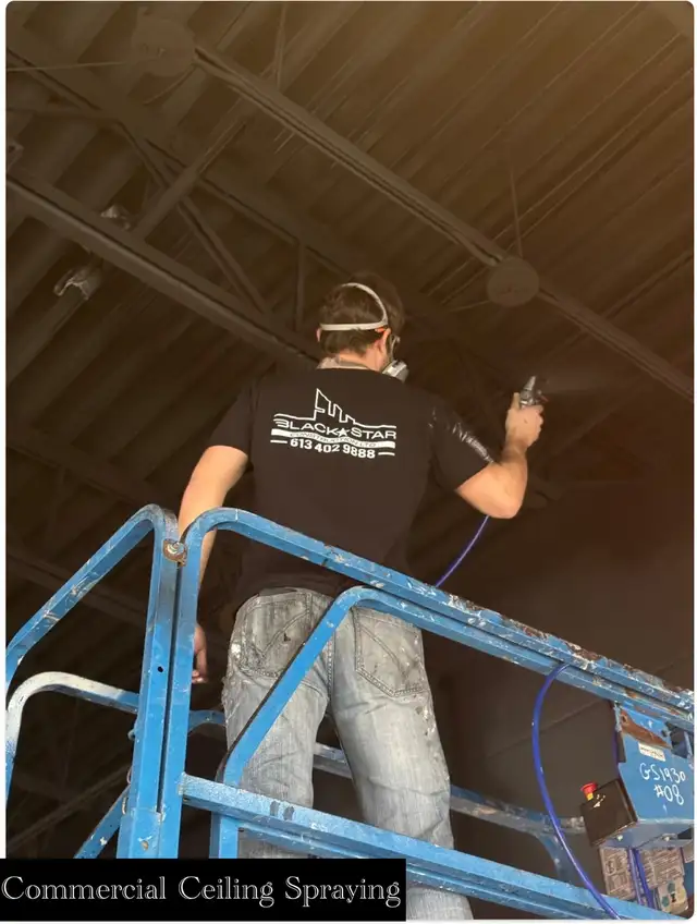Ottawa's 5⭐ Painters & Contractors - Black Star Construction62864355828226124