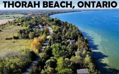 House and cottage for sale. Walk to Lake Simcoe Imagine arriving home to a property that instantly e...