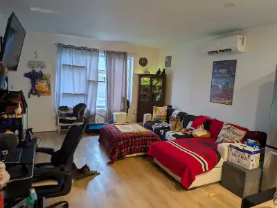 Large 4 1/2 apartment for rent. Master bedroom has a back door to access a balcony with very big wal...