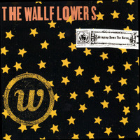 THE WALLFLOWERS - Bringing Down the Horse CD - DYLAN