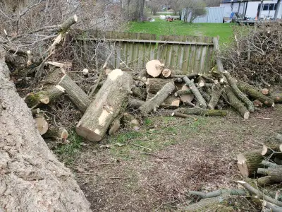 Wood for sale, View more