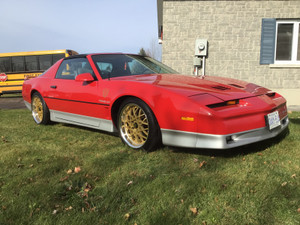 1985 Pontiac Trans Am CLOTH