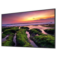 Samsung 55-inch Commercial 4K UHD LED LCD Display, 350 NIT