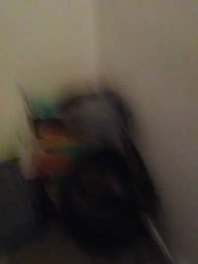 5 garbage bags of women and kids clothing mixed sizes plus tous, View more