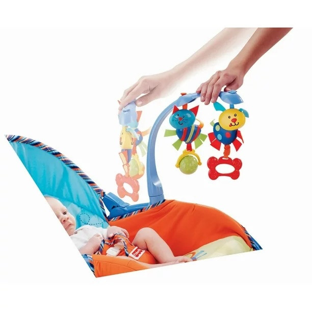 Fisher-Price Newborn-to-Toddler Portable Rocker in Playpens, Swings & Saucers in City of Toronto - Image 2
