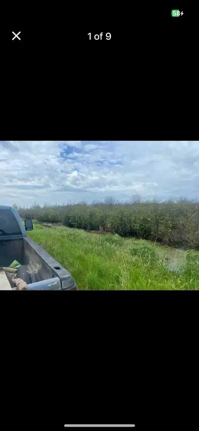 160 acres Excellent recreation 1/4 or could be improved for pasture Fence on 1 side 2.5 miles off pa...