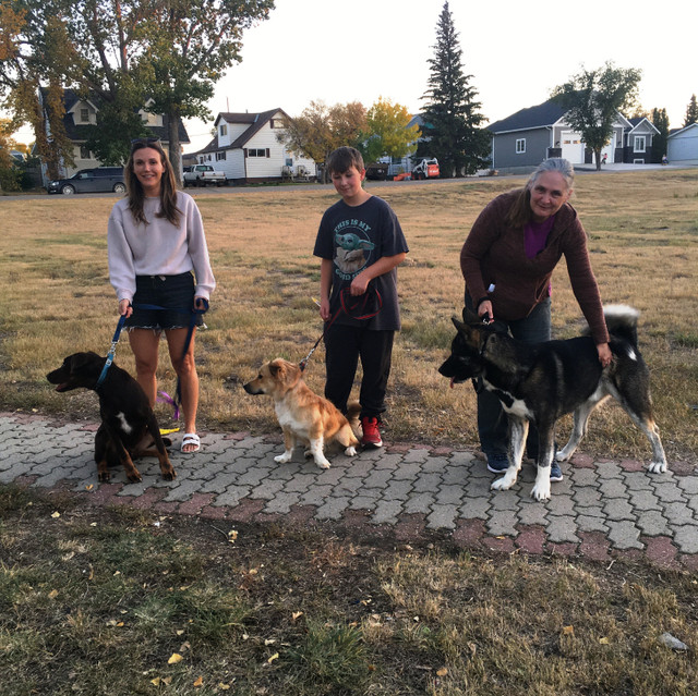 Dog Training Starting Soon at the Lake in Animal & Pet Services in Prince Albert