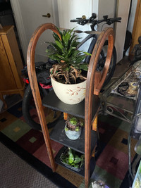 Antique Sly plant stand
