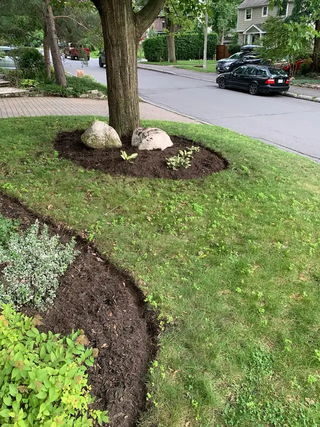 Reliable Yard Work Westboro561546760846714888