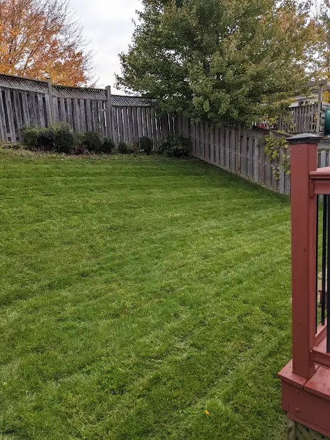 Spring Clean up and Reliable Weekly or Bi-weekly Lawn Cutting in Lawn, Tree Maintenance & Eavestrough in Kitchener / Waterloo - Image 3