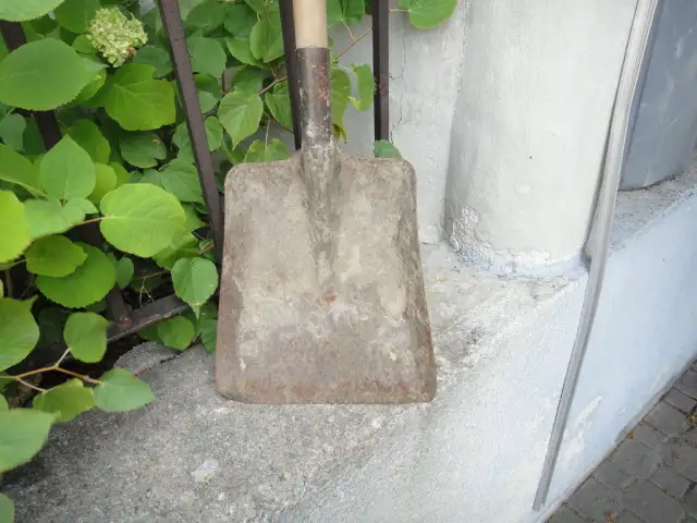 Garden Shovel589631697989160962