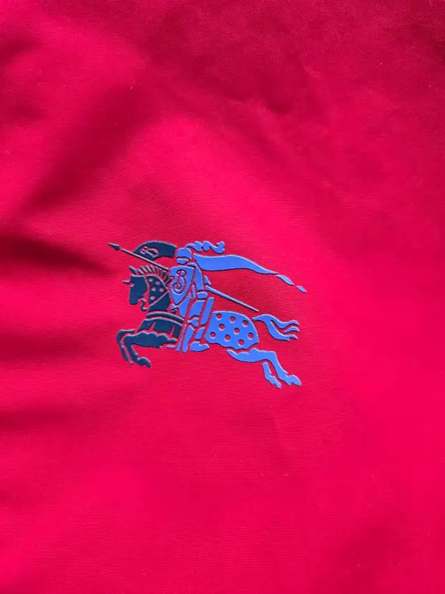 Authentic Burberry Jacket 14Y in Kids & Youth in Ottawa - Image 6