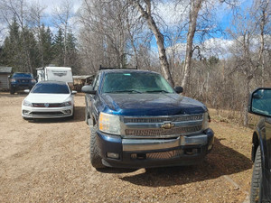 2008 Chevrolet Silverado 1500 WT