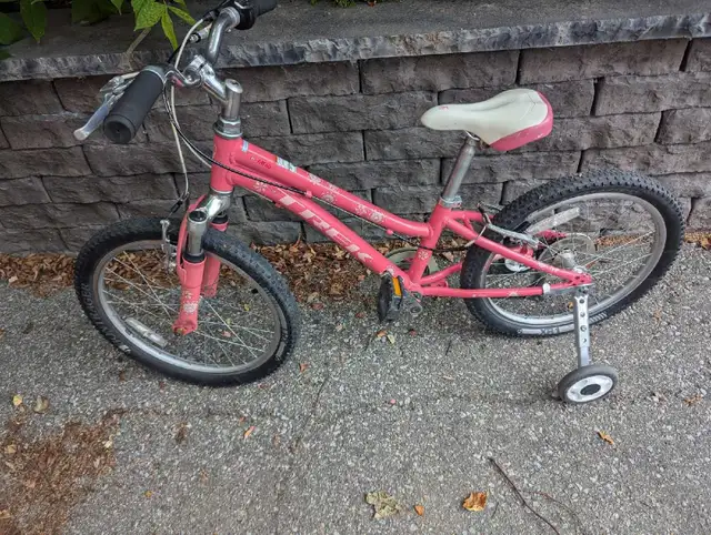 Trek MT60 20" kids bike in Kids in City of Toronto - Image 2