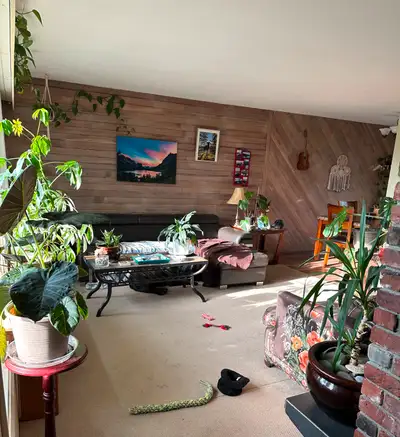 Available now! I'm the home owner and I rent out 2 bedrooms so there will be 3 of us total and we al...