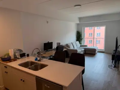 Luxury Winnipeg Apartment for rent - Starting August