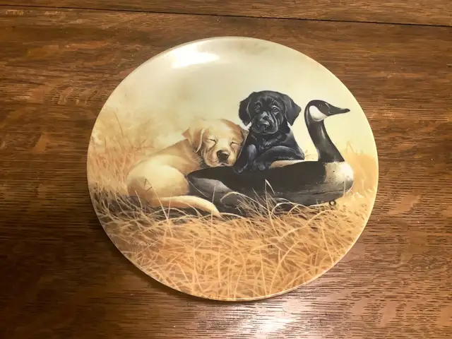 Limited edition Puppy Plates FS in Arts & Collectibles in Dartmouth - Image 4