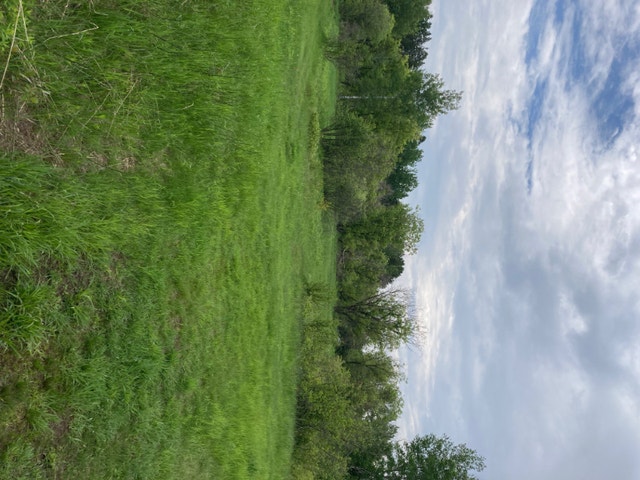 Rare 20th Side Road lot, over 21 Acres + 624 feet frontage Land for