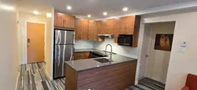 Appartement 3,5 one bedroom apartment Metro Pie IX