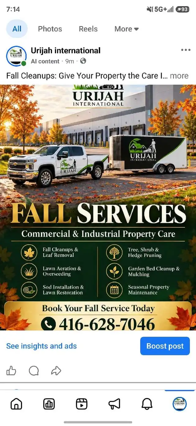 Fall cleanup/ Fall landscaping services602770052418775043
