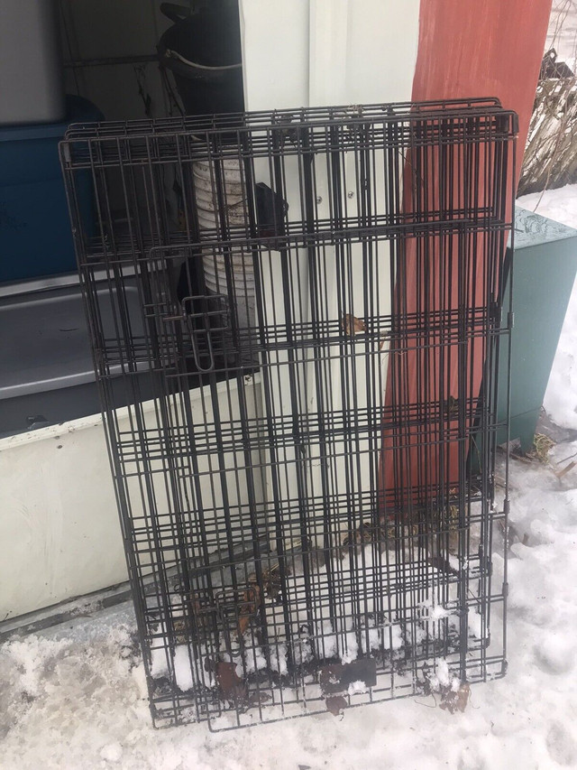 Puppy Crates for Sale! in Accessories in Kawartha Lakes - Image 3