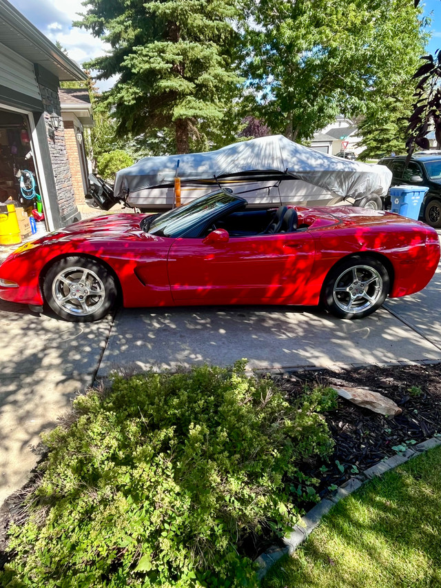  2002 Corvette convertible  in Cars & Trucks in Calgary