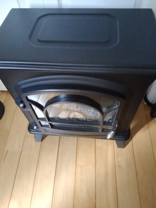 Small Space Electric Fireplace Heater in Fireplace & Firewood in Kingston - Image 3
