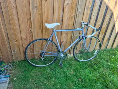 Bianchi Brava quality tuned up road bike, View more