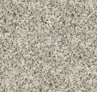 Stadium - 40 oz. Carpet for just $2.49 a SFT, 3 Colours In Stock