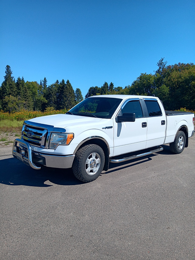 Truck F150 in Cars & Trucks in Thunder Bay