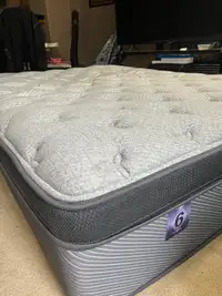2 queen size mattress 