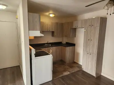 4 1/2 à louer 1025$, 2 chambres, pour décembre à Cowansville., View more