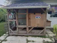 Poulailler - Chicken coop