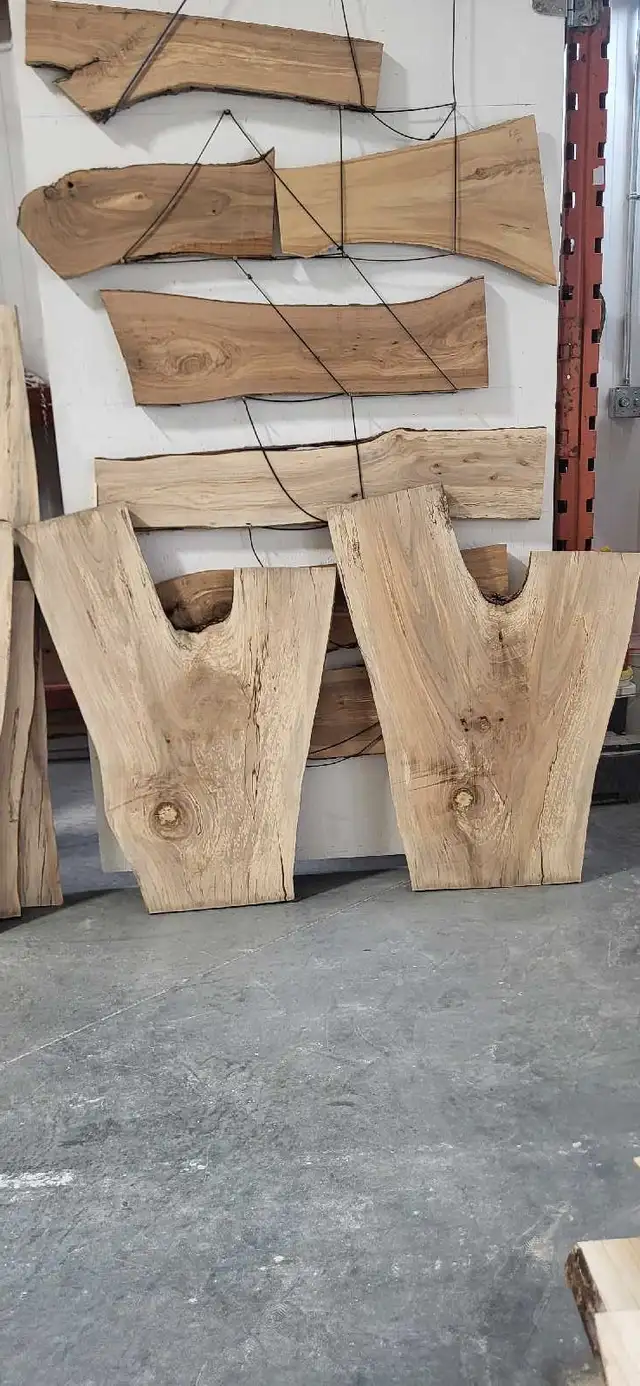 LIVE EDGE WOOD in Other in Winnipeg - Image 3