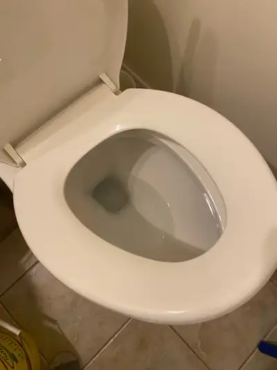 Brand new toilet seat, View more