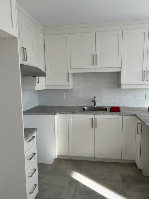 Longueuil grand 4 1/2 — photo 3