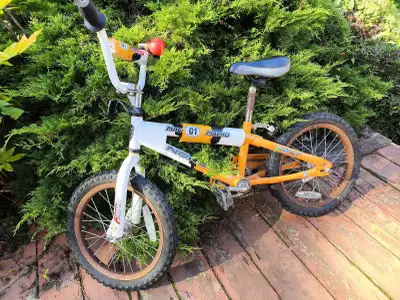 16" kid bikepick up  in White Rock  Near the Peace Arch Hospital, View more