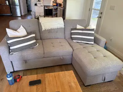 Sectional Couch with Storage and Pull-out Bed, View more
