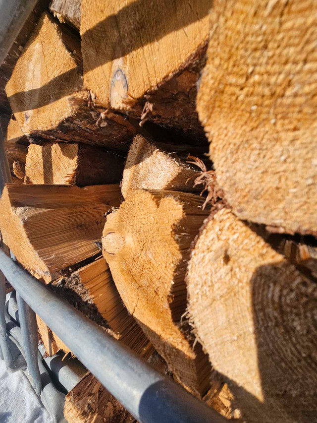Firewood for sale  in Fireplace & Firewood in Winnipeg - Image 2